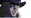 EvenSpeedwagon