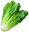 Lechuga