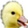 HappyDuckie