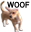 FSdog