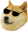 matoDoge