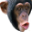 PogChimp