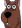 OMGScoobs