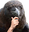 CrowThonk