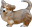 corgiWink