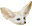 Fennec