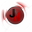 JNlogo