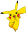 pikaHype