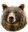 PlainBearHD