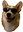 coolCorgi