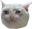 Cryingcat