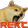 RektDoge