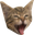 PounceScream