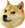 HTLDoge