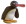 NOOT