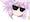 CoolNep