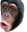 PogChimp