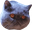 SpookyCat