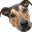 Datdogekp