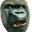 DansGorilla