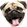 altPuggo