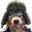 theCooldog