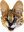 serVAL