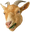 phoGoat