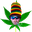 JediRasta