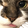 lilyBlep