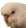 KillBirb