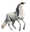 PonyGuin