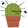 cactusGrump