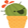 cactusYay