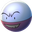 Electrode