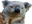 KoalaNfused