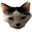 LiamMeowson