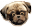 PixelPug