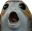 PorgChamp