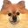 LPKTrueDoge