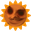 SunWithForsenO