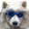 HMJCoolDog