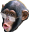 PogChimpSr