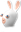 RabbidSmirk