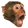 PogChimp