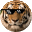 tigerDWI