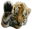 tigerHello