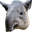 BoredTapir