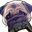 PugChomp