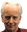 TheSenate